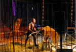Female lions in action